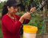 Agua, semillas y organización comunitaria: los pueblos indígenas lideran el cambio en Ecuador